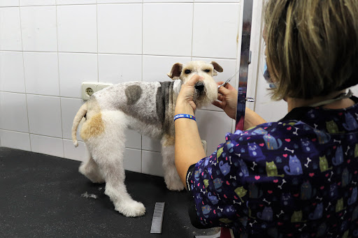 Clínica Veterinaria Sirio en Pedrezuela