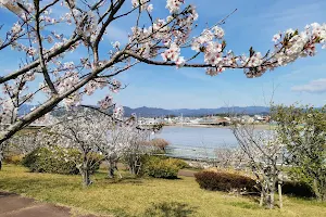 Sakurazutsumi Park image