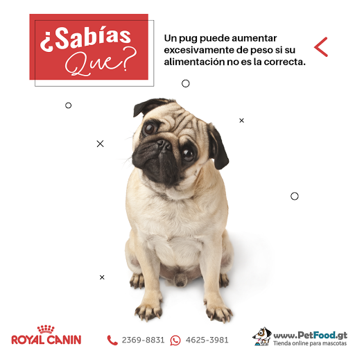 PetFood.gt - Tienda Online para Mascotas Guatemala