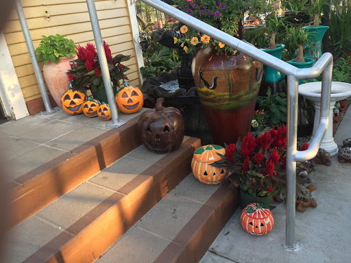 Florist «Plant Safari», reviews and photos, 653 N Central Ave, Upland, CA 91786, USA