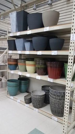 Florist «Nordlie Inc, - Detroit», reviews and photos, 25300 Guenther, Warren, MI 48091, USA