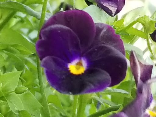 Tourist Attraction «Helena Tourism Alliance», reviews and photos, 105 Reeders Alley, Helena, MT 59601, USA