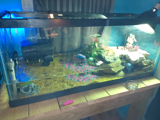 Pet Store «Petfection Exotic Pet Specialist», reviews and photos, 2989 PA-611 Suite 102, Tannersville, PA 18372, USA