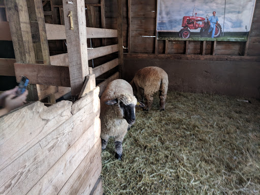 Pumpkin Patch «Barts Farm and Pumpkin Patch», reviews and photos, 7307 Alburnett Rd, Marion, IA 52302, USA