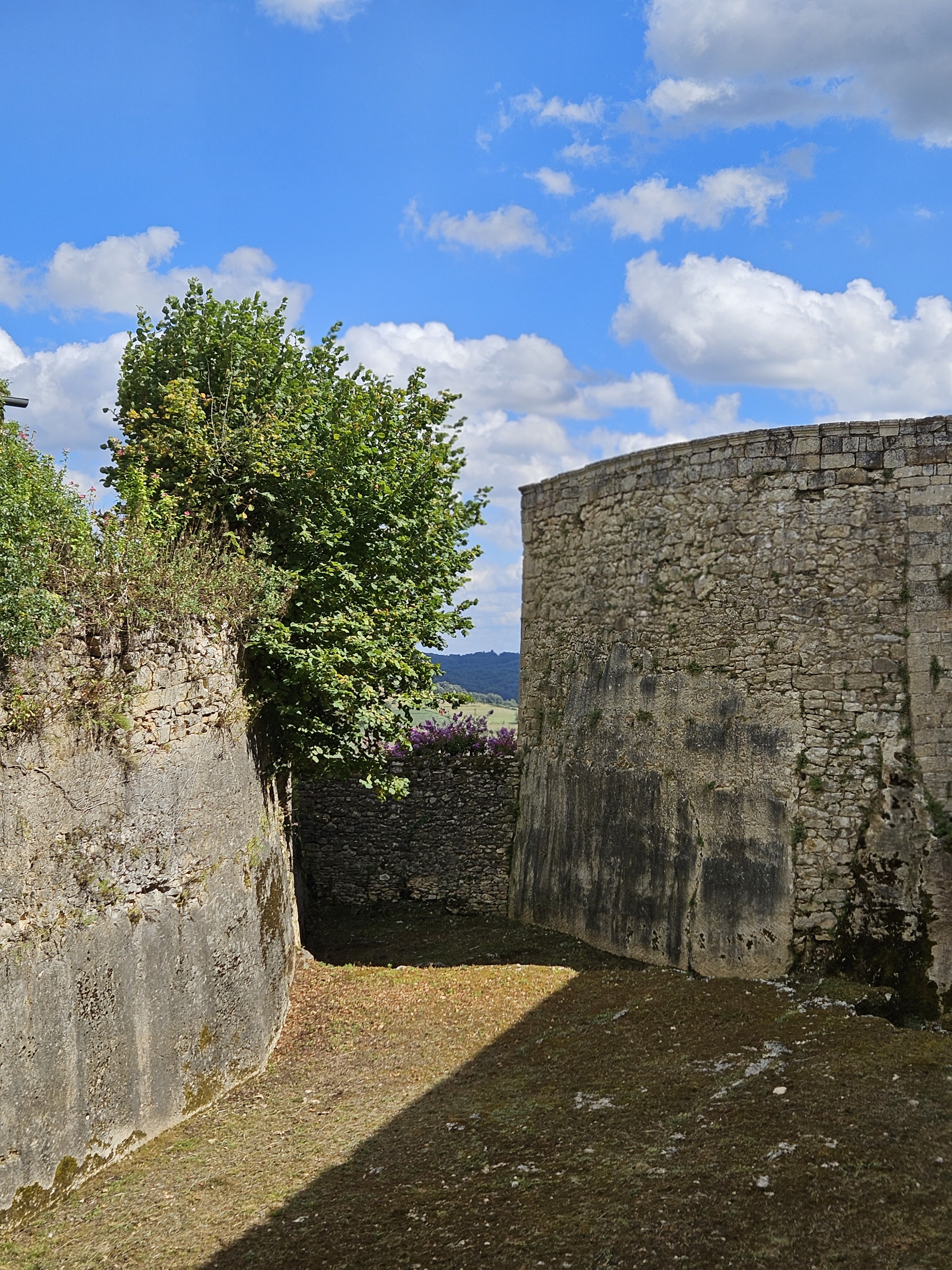 Photo n° 3 de l'avis de Renate.r fait le 03/08/2023 à 11:17