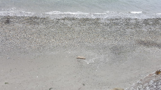 Park «Marine View Park», reviews and photos, 20945 Marine View Dr SW, Normandy Park, WA 98166, USA