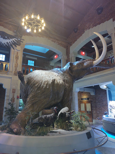 Amphitheater «Toledo Zoo Amphitheater», reviews and photos, 2700 Broadway St, Toledo, OH 43609, USA