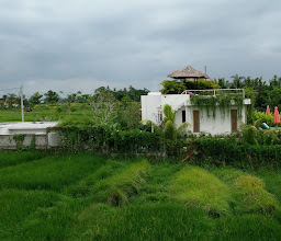 Villa Puspa photo