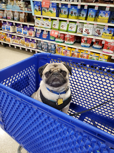 Pet Supply Store «PetSmart», reviews and photos, 1125 Quentin Rd, Lebanon, PA 17042, USA