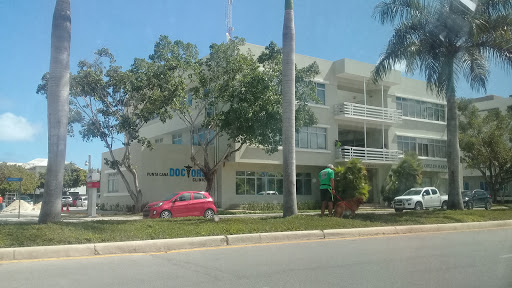 Dog clinics Punta Cana