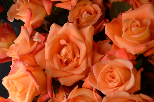 Florist «Carousel Flowers by Shamrock Garden Florist», reviews and photos, 527 S York St, Elmhurst, IL 60126, USA