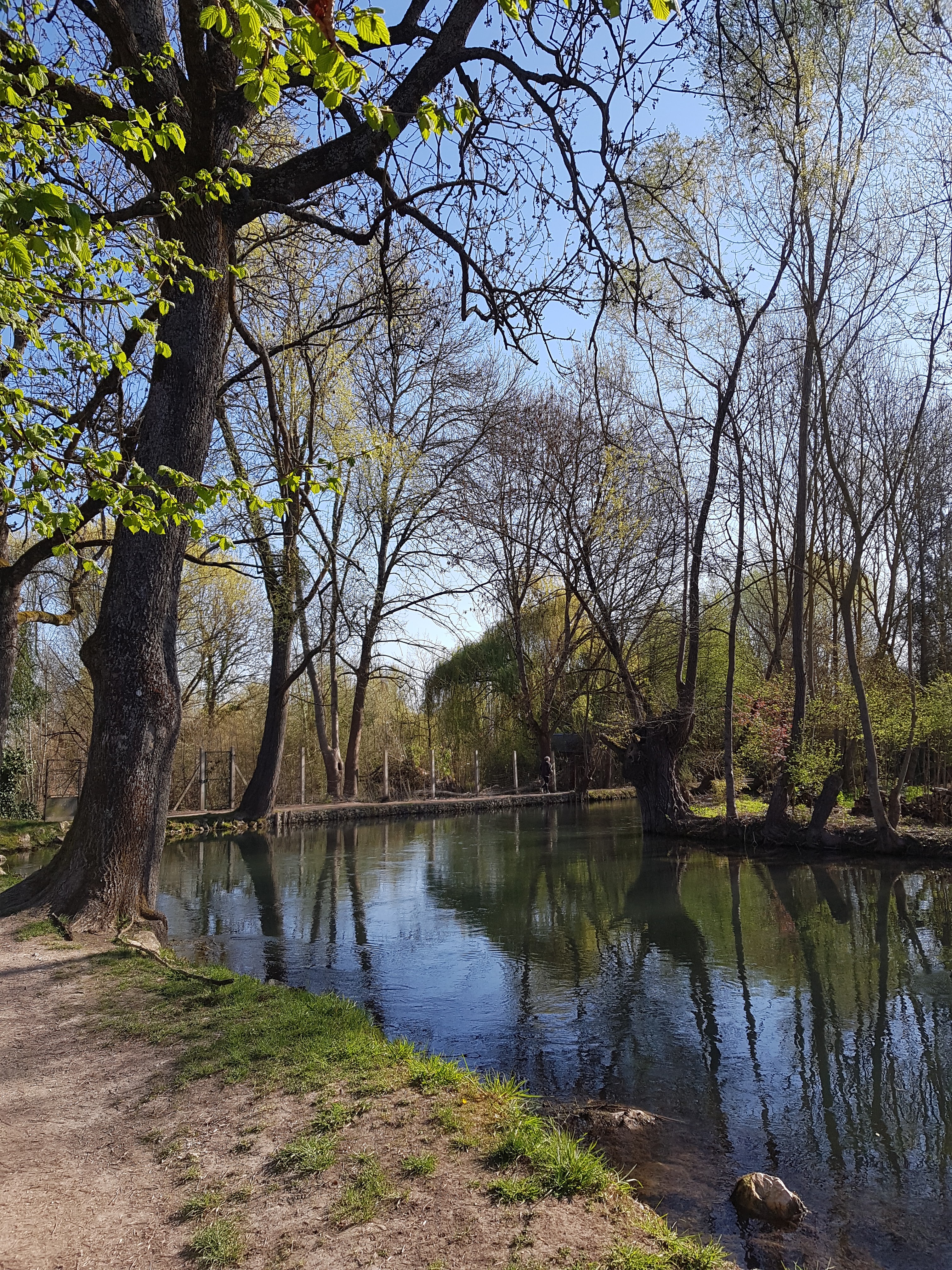 Photo n° 1 de l'avis de Mathilde.a fait le 31/03/2019 à 12:04