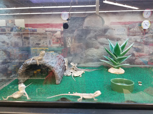 Pet Supply Store «Petco Animal Supplies», reviews and photos, 181 North 545 West, West Bountiful, UT 84087, USA