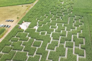 Pop Corn Labyrinthe ST-VIVIEN - Labyrinthe Géant de Maïs image