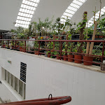 Photo n°16 de l'avis de Thérèse.A fait le 23/07/2019 à 09:56 sur le  Mercado Municipal de Matosinhos à Matosinhos