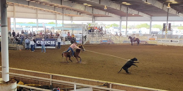 South Buckeye Equestrian Center