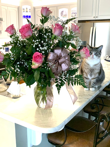 Pharmacy «Jefferson Pharmacy», reviews and photos, 194 Turkeysag Trail, Palmyra, VA 22963, USA