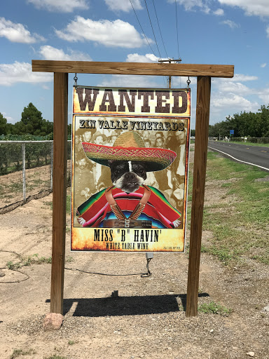 Winery «Zin Valle Vineyards», reviews and photos, 7315 Canutillo-La Union Rd, Canutillo, TX 79835, USA