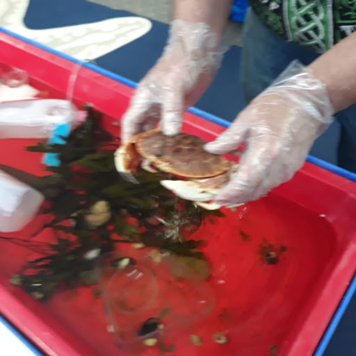 Aquarium «Explore the Ocean World, llc Oceanarium», reviews and photos, 367 Ocean Blvd, Hampton, NH 03842, USA