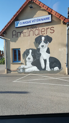 Clinique Vétérinaire des Amandiers - Dr Bréban et Dr Suarez à Beaune