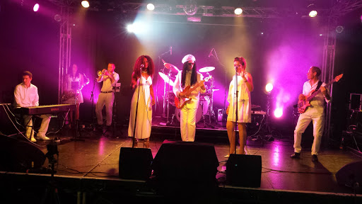 Le Freak - Disco band & CHIC and Nile Rodgers tribute