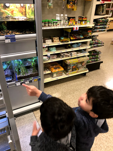 Pet Supply Store «PetSmart», reviews and photos, 19175 Lyndon B Johnson Fwy, Mesquite, TX 75150, USA