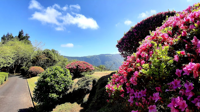 Comentários e avaliações sobre o I go Azores