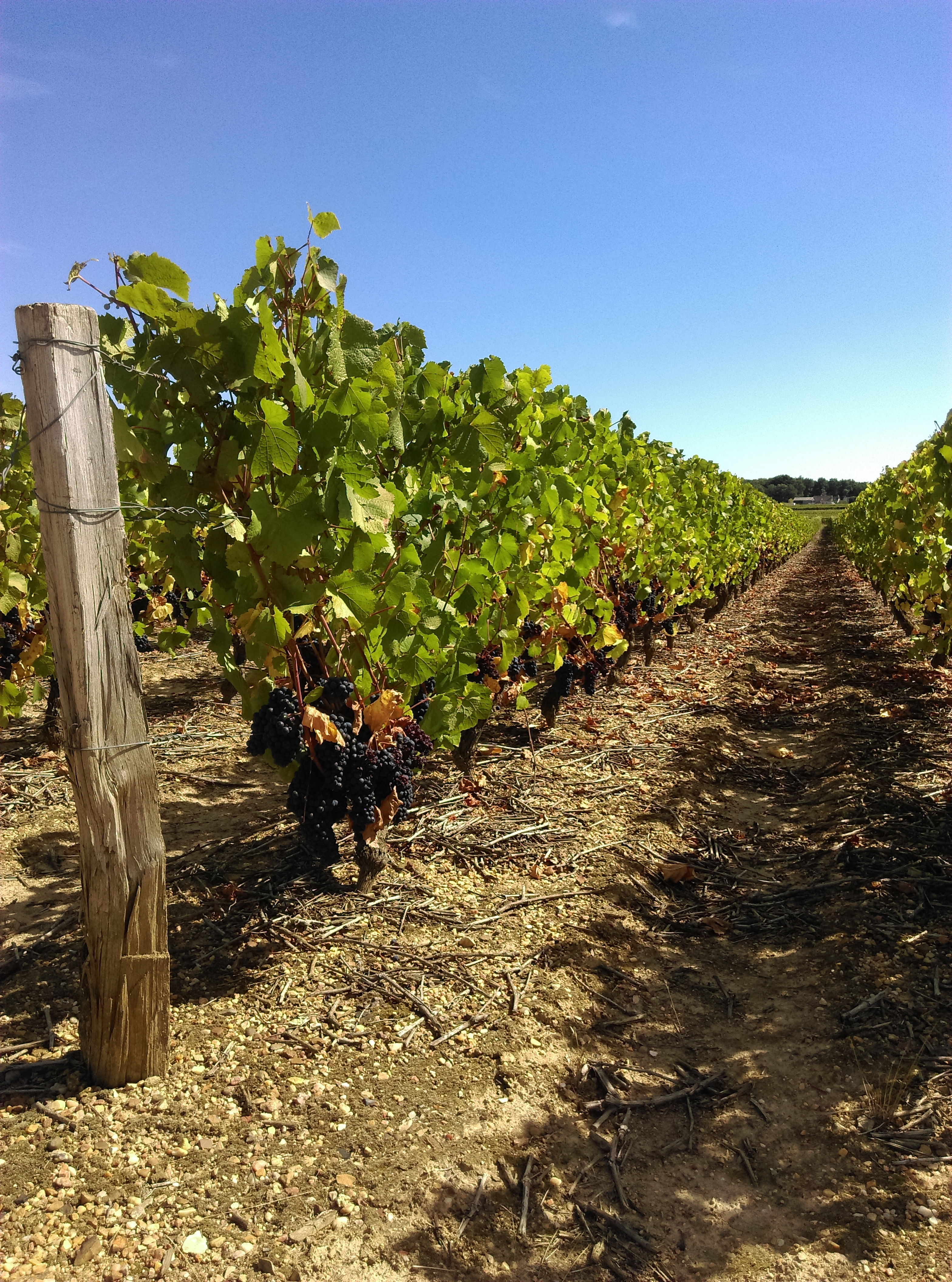 Photo n° 1 de l'avis de Gabet.r fait le 09/09/2018 à 13:24