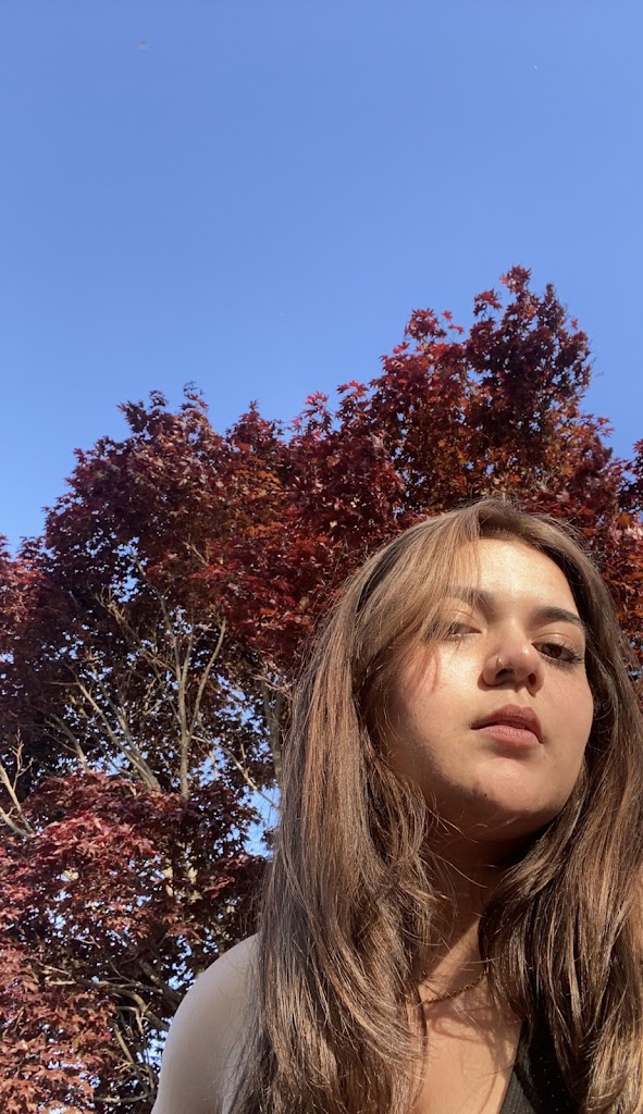 Hair Studio Hopkinsville, KY 42240 Services and Reviews