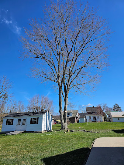 Van Wagner and Sons Tree Service