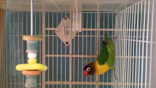 Pet Supply Store «Rutser Pet Store», reviews and photos, 5418 E Beverly Blvd, East Los Angeles, CA 90022, USA