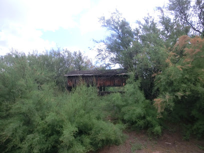 Observatorio Humedal del Cerro Gordo – San Fernando de Henares