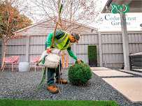 Cedar Crest Gardens - Photo 4 - Car repair in Dallas, TX, Irving