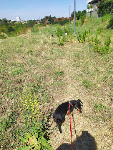 Pensioni per cani e dog hotel a pensione animali