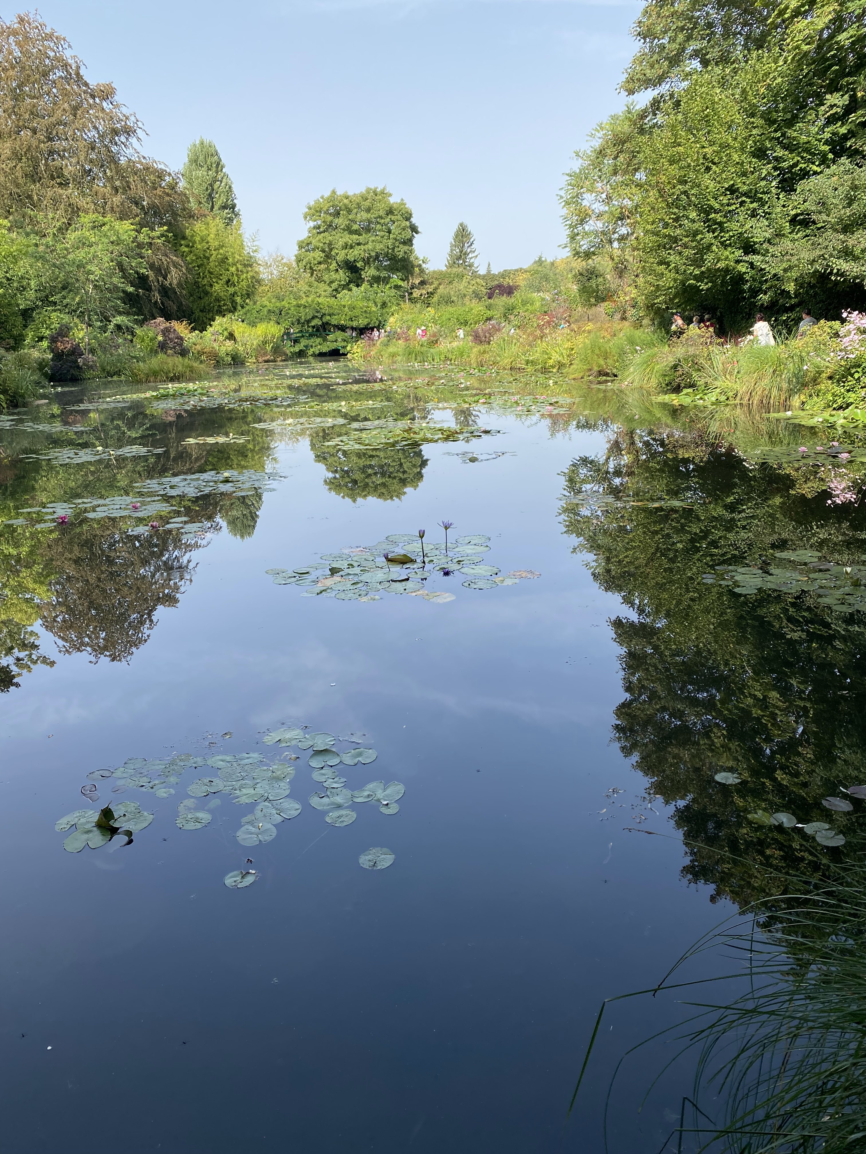 Photo n° 6 de l'avis de Farzad.a fait le 06/09/2023 à 08:16