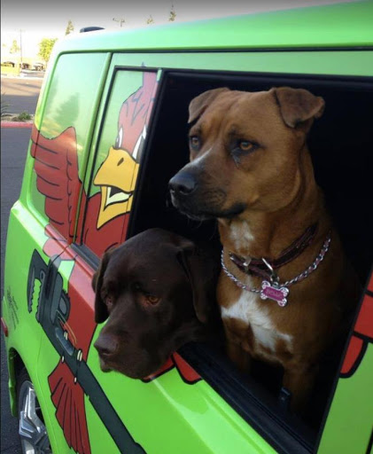 Plumber «Robins Plumbing Inc», reviews and photos, 5955 W Peoria Ave, Glendale, AZ 85302, USA