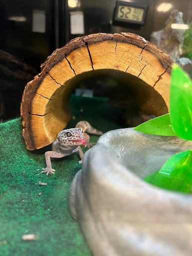 Pet Supply Store «PetSmart», reviews and photos, 3 McKenna Rd, Arden, NC 28704, USA