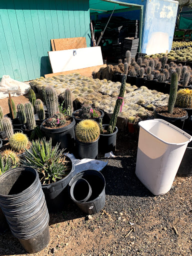 Gas Station «Circle K», reviews and photos, 12707 W Grand Ave, Surprise, AZ 85374, USA