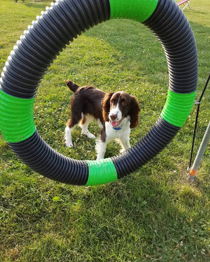 Dog Park «Carol Stream Bark Park», reviews and photos, 280 Kuhn Rd, Carol Stream, IL 60188, USA