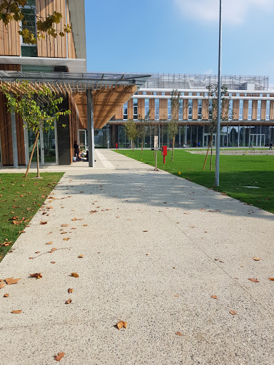 Pensioni per cani e dog hotel a Ospedale Veterinario Universitario - Pronto soccorso Veterinario