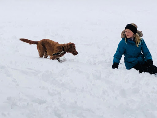 Insurance Agency «Ben Just - State Farm Insurance Agent», reviews and photos