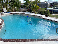 Blue Dolphin Pool Services LLC - Photo 1 - Car repair in , Cape Coral
