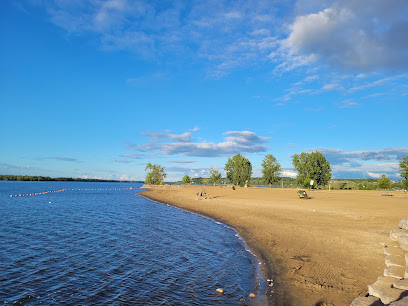 Petrie Island Beach