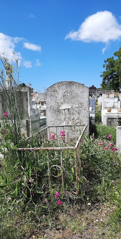 Cementerio General De Concepción