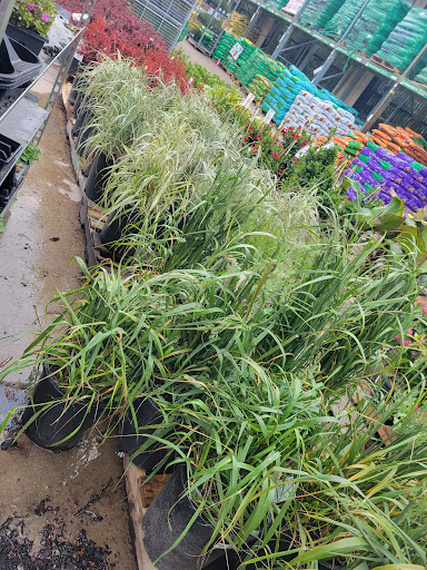 Home Improvement Store «The Home Depot», reviews and photos, 333 W Allen St, Castle Rock, CO 80108, USA