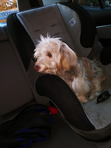 Liquor Store «Castle Liquor», reviews and photos, 30283 Utica Rd, Roseville, MI 48066, USA