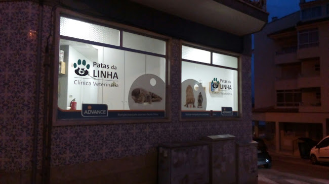 Clínica Veterinária Patas da Linha - Veterinário