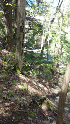 Tourist Attraction «Winsdor Mills Covered Bridge», reviews and photos, 7696 Warner Hollow Rd, Windsor, OH 44099, USA