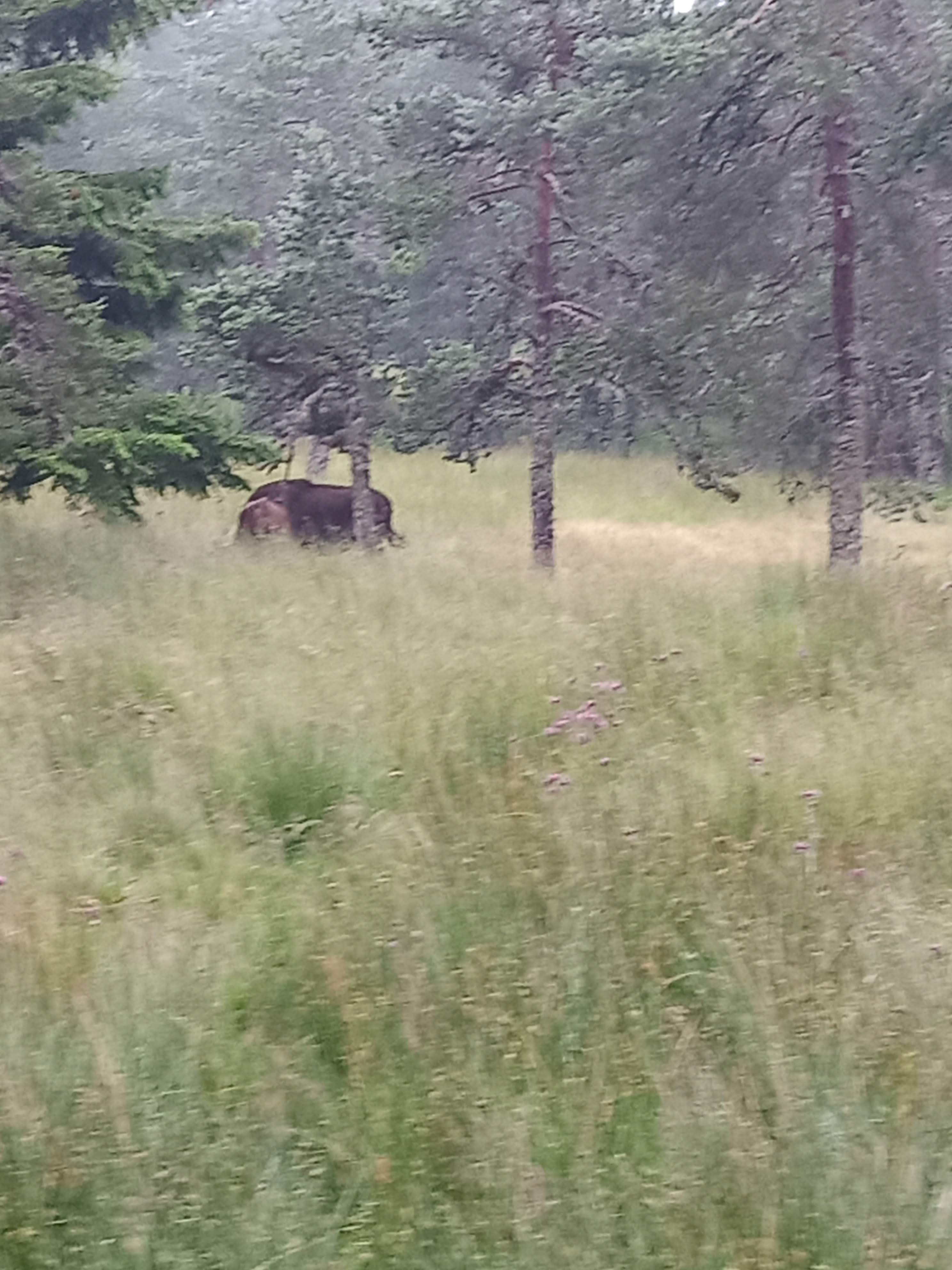 Photo n° 8 de l'avis de Marj.a fait le 18/07/2021 à 21:04