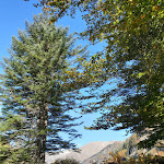 Photo n°16 de l'avis de Giovanni.s fait le 13/10/2020 à 11:00 sur le  Alpe Campo Rimasco à Alto Sermenza